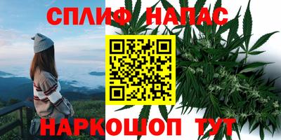 кокс Тара