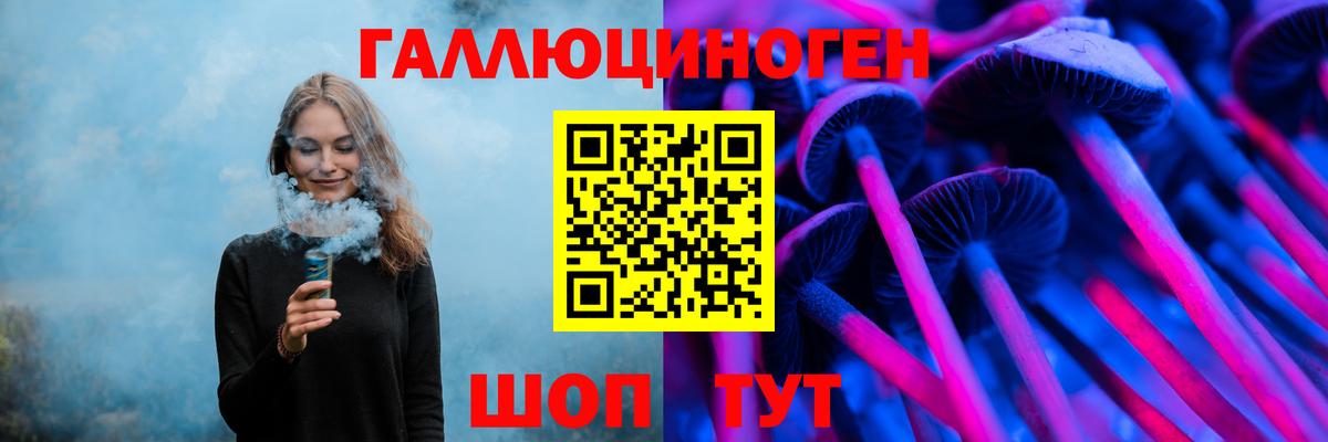 Галлюциногенные грибы Psilocybe Алатырь